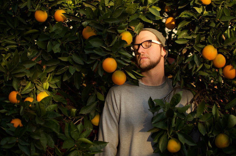Musician Makebelief with his eyes closed, emerging from the boughs of an orange tree with ripe citrus on it. 